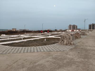 Pipla Plot View 2