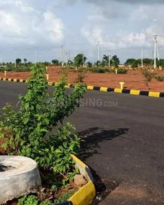 Residential Plot