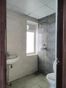 Common Bathroom Image of 725 Sq.ft 2 BHK Apartment / Flat for sale in Amrapali Dream Valley 2, Noida Extension Greater Noida for Rs. 5900000