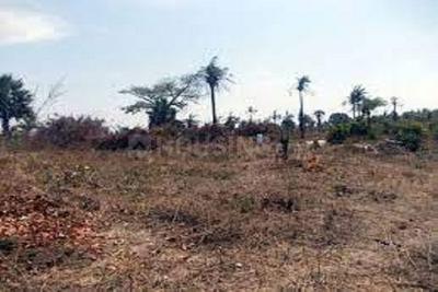 Image of 1440 Sq.ft Residential Plot / Land for sale in ASM Shree Jaswant Garden, Sector 14, Panchkula for Rs. 11577000