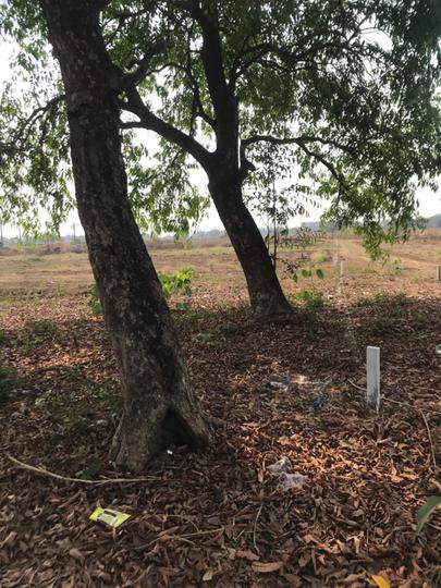 Matheran Sunrise Main Image 1