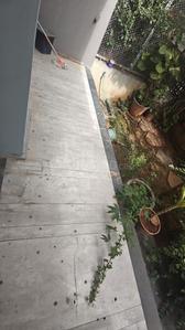 Image of 2900 Sq.ft 3 BHK Villa for rent in HSR Layout, Bengaluru for Rs. 110000