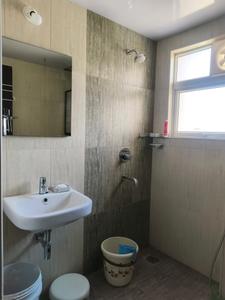 Common Bathroom Image of 1175 Sq.ft 2 BHK Apartment / Flat for rent in Shriram Solitaire, Yelahanka New Town Bengaluru for Rs. 45000