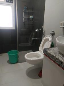 Common Bathroom Image of 1020 Sq.ft 2 BHK Apartment / Flat for rent in Oxford Florida River Walk, Mundhwa Pune for Rs. 45000