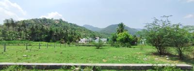 Residential Plot