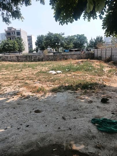 Bhondsi Main Image 1