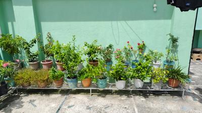 Image of 930 Sq.ft 2 BHK Apartment / Flat for sale in Keshtopur, Kolkata for Rs. 3600000
