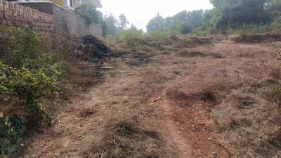 Image of 93108 Sq.ft 4 BHK Farm House for sale in Morjim, Goa for Rs. 1100000000