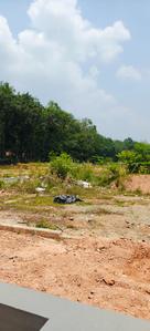 Kakkanad Plot View 2