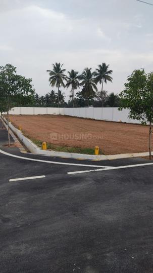 Annur Main Image 1
