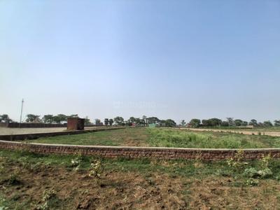 Near DPS Chandmari Plot View 3