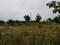 Raysandara Plot View 2
