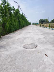 Sector 3 Greater Noida West Plot View 2