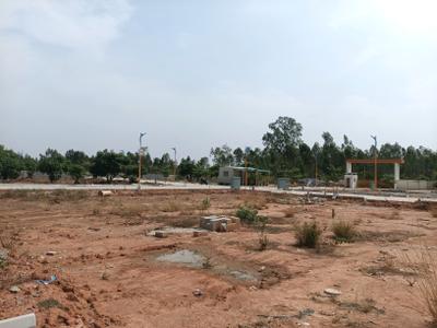 Residential Plot