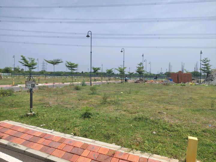 Alamo XS Real Castillo Main Image 1