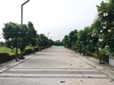 Mansha Oaks Internal Roads 2