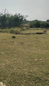 Sarojini Nagar Plot View 2