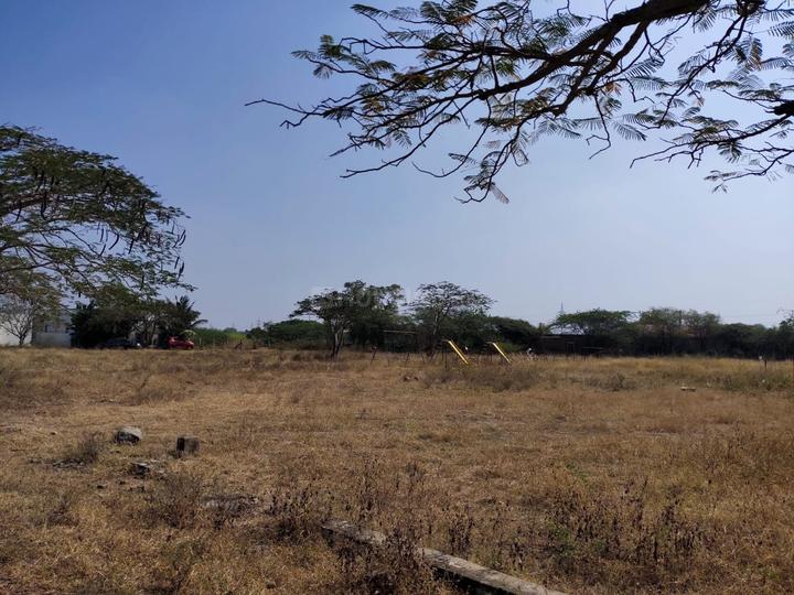 VGV Vijei Garden, Valliammai Nagar Main Image 1