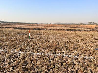 Residential Plot