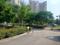 Experion Westerlies Internal Roads 1