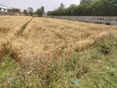 Image of 3500 Sq.ft Residential Plot / Land for sale in Mugalpur Urf Aghwanpur Mustahk, Moradabad for Rs. 100000000