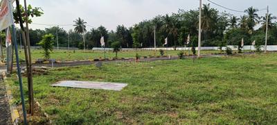 Residential Plot