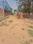 Bihta Plot View 2