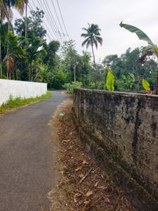 Image of 16552 Sq.ft Residential Plot / Land for sale in Thalayolaparambu, Kottayam for Rs. 14250000