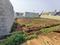 Thathaguni Plot View 2