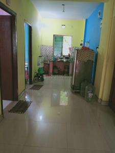 Hall Image of 850 Sq.ft 2 BHK Apartment / Flat for rent in Mahaprabhu Jharna Apartment, Benachity Durgapur for Rs. 8500
