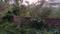 Hanspal Main Image 1