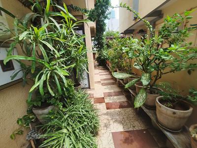Balcony Image of 850 Sq.ft 2 BHK Independent House for rent in Sama Savli Vadodara for Rs. 12000