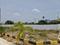 Madanapuram Plot View 1
