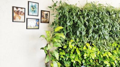 Image of 1650 Sq.ft 3 BHK Apartment / Flat for sale in Ansal Heights , Worli, Mumbai for Rs. 66500000