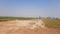 Krupal Plot View 2
