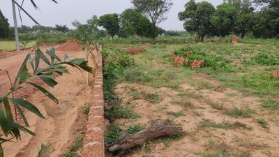 Image of 1200 Sq.ft Residential Plot / Land for sale in Balianta, Bhubaneswar for Rs. 1800000