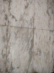 Bathroom Image of 1000 Sq.ft 2 BHK Builder Floor for sale in Sanpada Navi Mumbai for Rs. 6200000