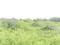 Rohini sector 34 Main Image 1