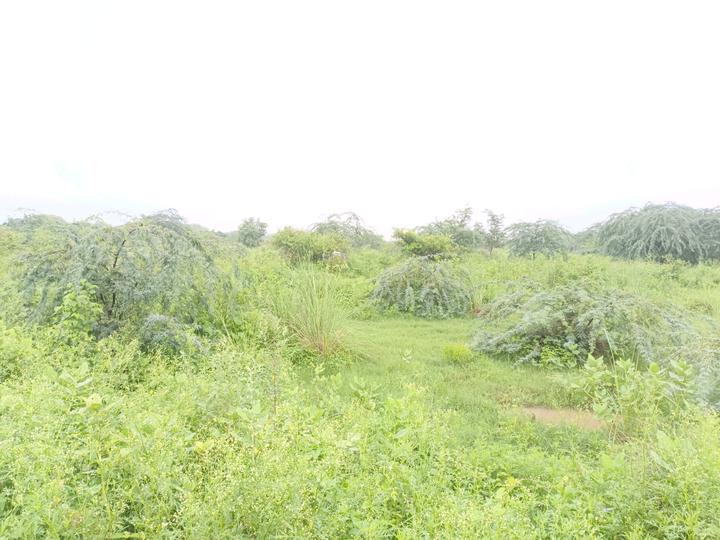 Rohini sector 34 Main Image 1