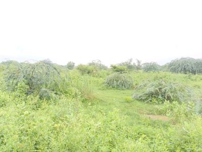 Rohini sector 34 Plot View 1