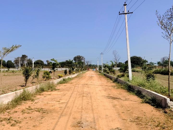 Pr proparty kandi iit Main Image 1