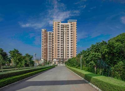 Image of 1751 Sq.ft 3 BHK Apartment / Flat for rent in Eldeco Accolade, Sector 2, Sohna for Rs. 35500