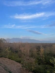 Trident Windsong Residences 1 Plot View 2
