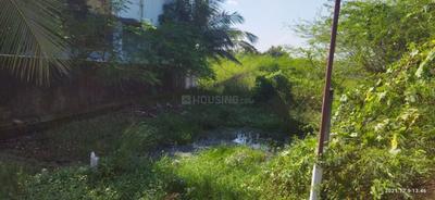 Nehru Colony More Images 3