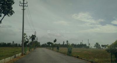 Residential Plot