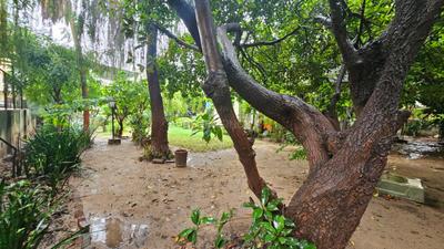Image of 442 Sq.ft Residential Plot / Land for sale in Ambawadi, Ahmedabad for Rs. 66300000