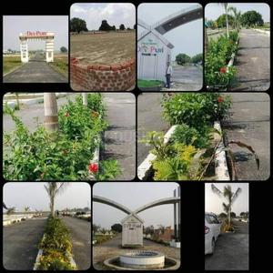 Image of 1000 Sq.ft Residential Plot / Land for sale in Dev Puri, Narona, Lucknow for Rs. 1251000