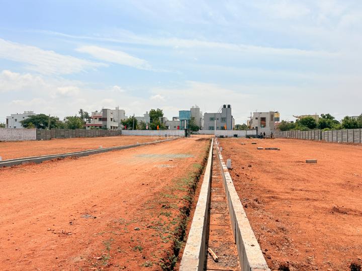Kalapatti Main Image 1