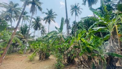 Image of 7405 Sq.ft Residential Plot / Land for sale in Chiyyaram, Thrissur for Rs. 12750000