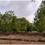 Koba Plot View 2